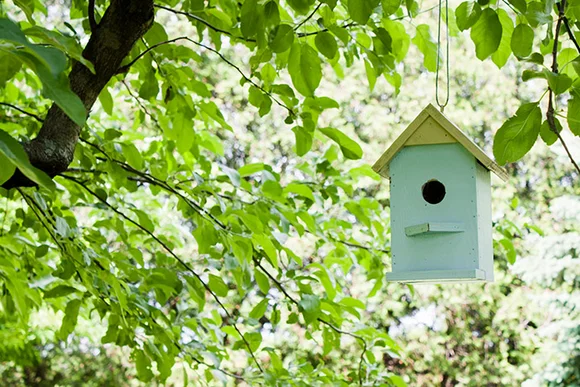 Helles Vogelhaus hängt im Baum